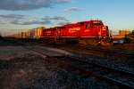 CP 4404